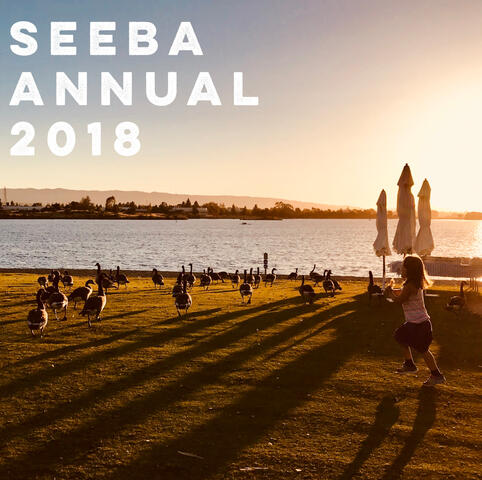 Seeba Annual 2018